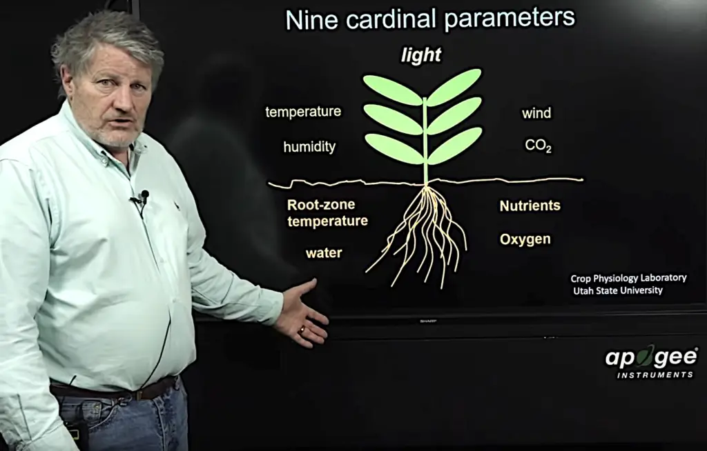 USA: Dr. Bruce Bugbee, Utah State University on Cannabis Cultivation Research